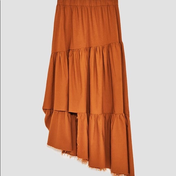 Zara Asymmetric Skirt - Picture 3 of 11